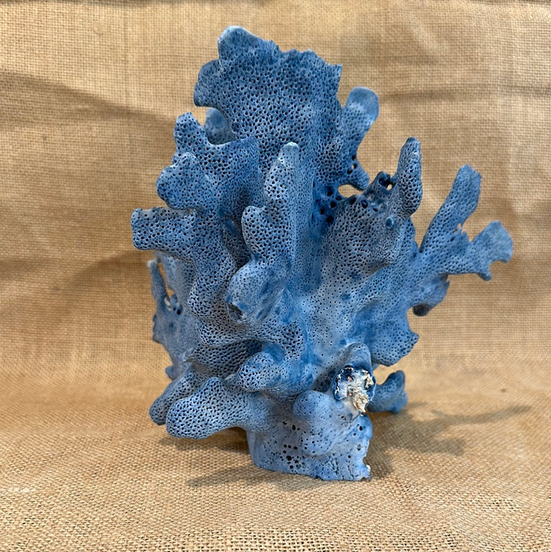 Vintage Blue Ridge Coral - 7"x6"x8"