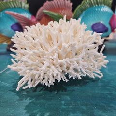 Vintage Birdsnest Coral - 6.5