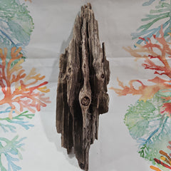 Driftwood- 12