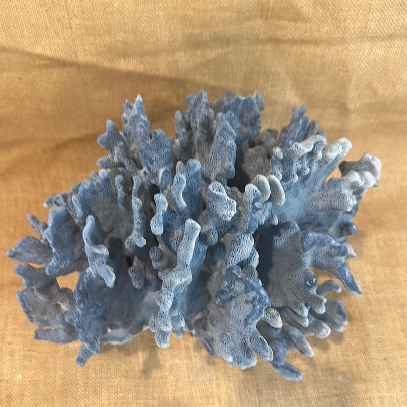 Vintage Blue Ridge Coral - 11"x10"x10"