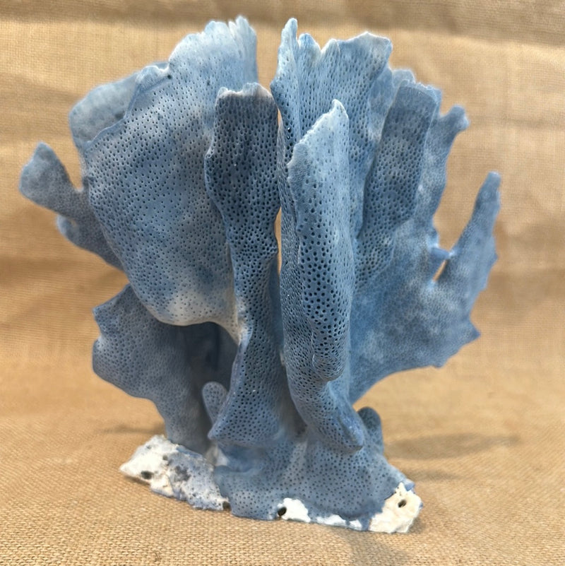 Vintage Blue Ridge Coral - 10"x7"x7"