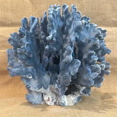 Vintage Blue Ridge Coral - 11