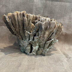 Vintage Natural Poca Coral - 12
