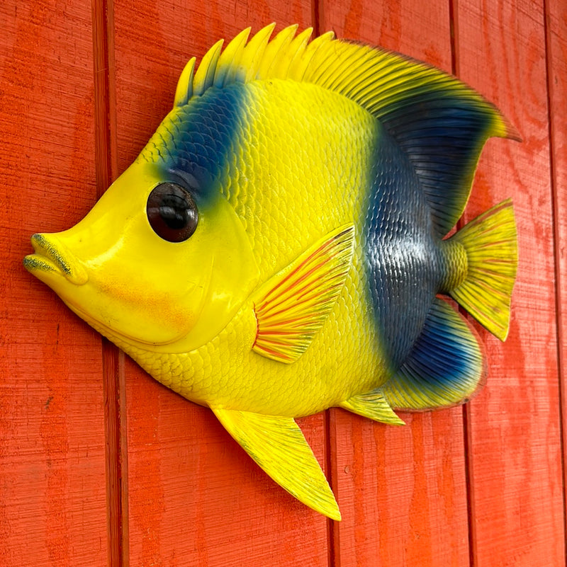 Wall Decor Fish Accent