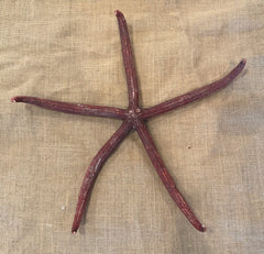 Giant Red Starfish 17