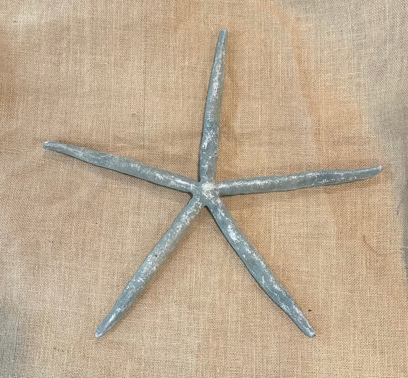 Pale Gray Giant Linkia Starfish 18"