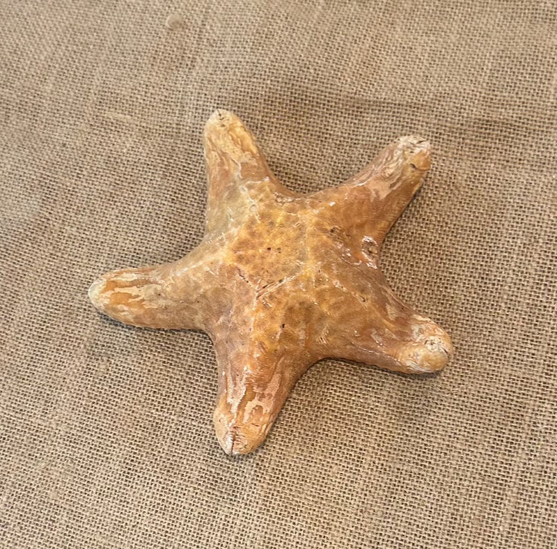 Red Wax Starfish 6"