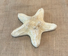 White Wax Starfish 6