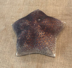 Pillow Starfish 8