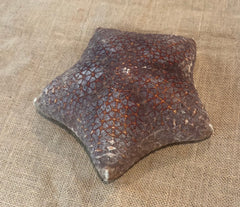 Pillow Starfish 9