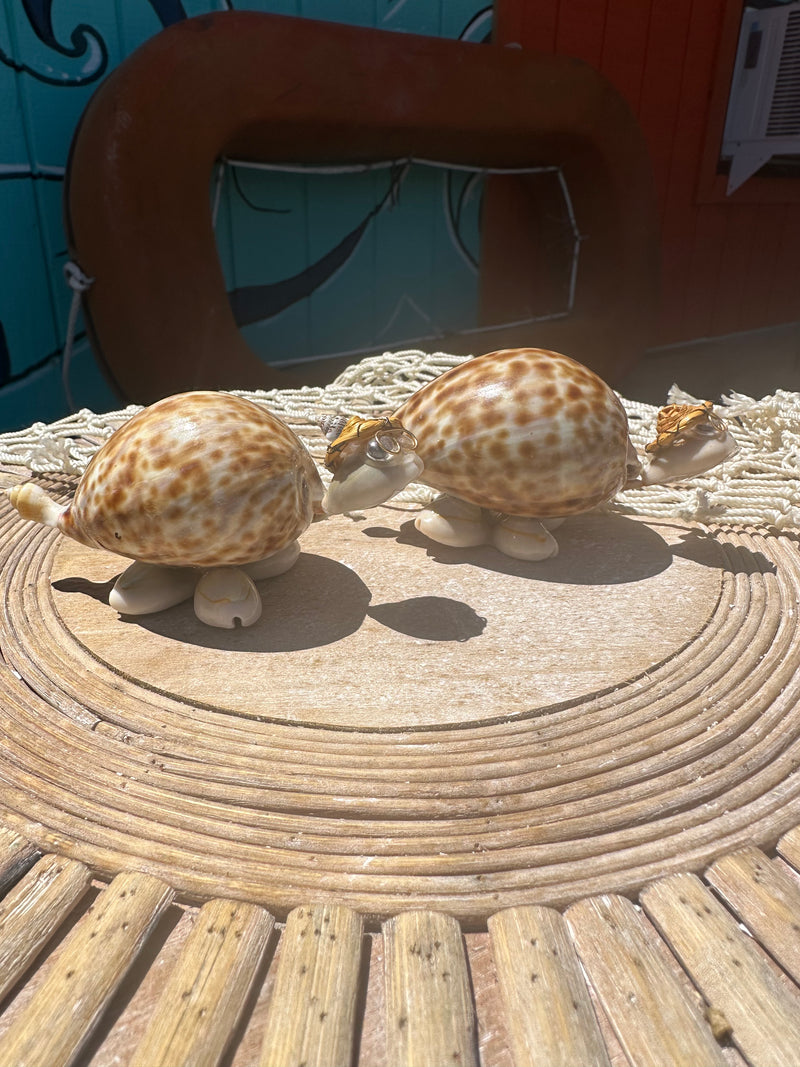 Turtle Wiener Dog Shell Critters