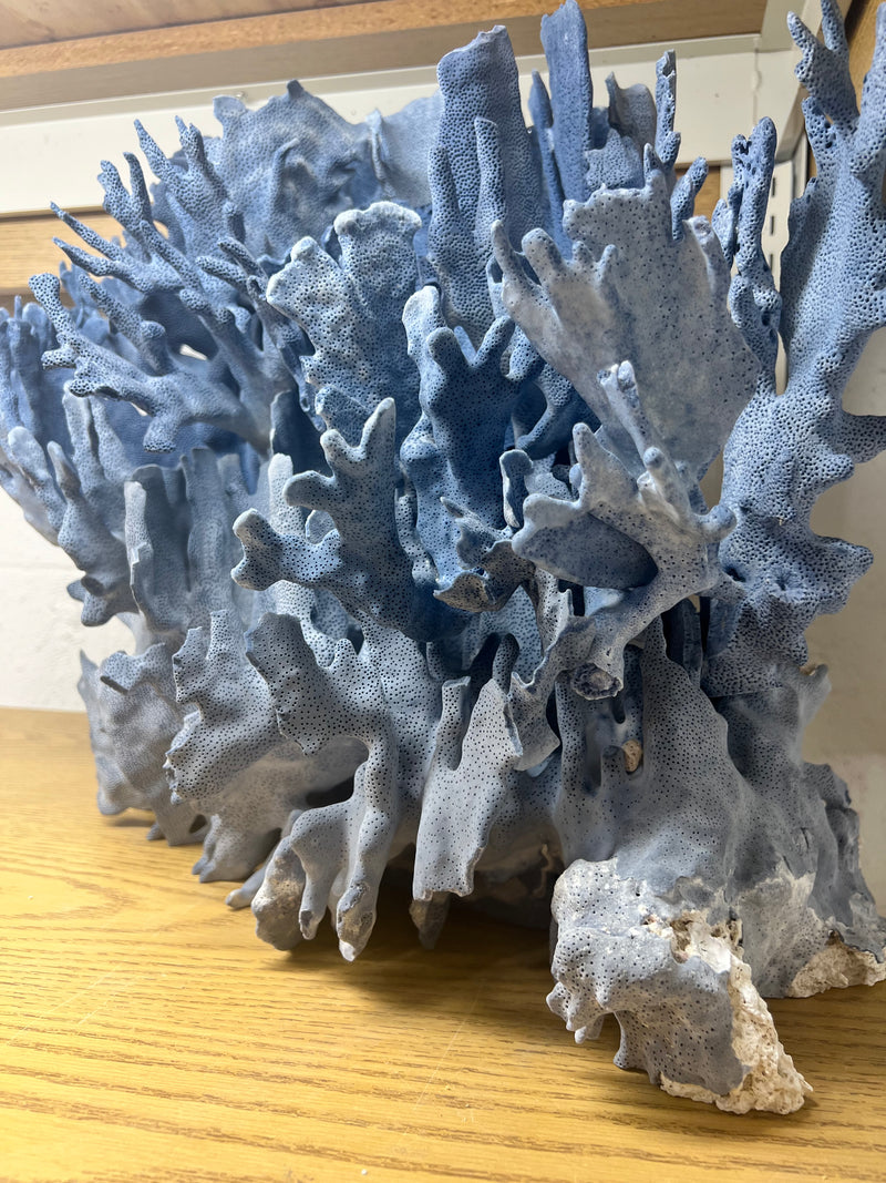Vintage Blue Ridge Coral Sculpture- 22"