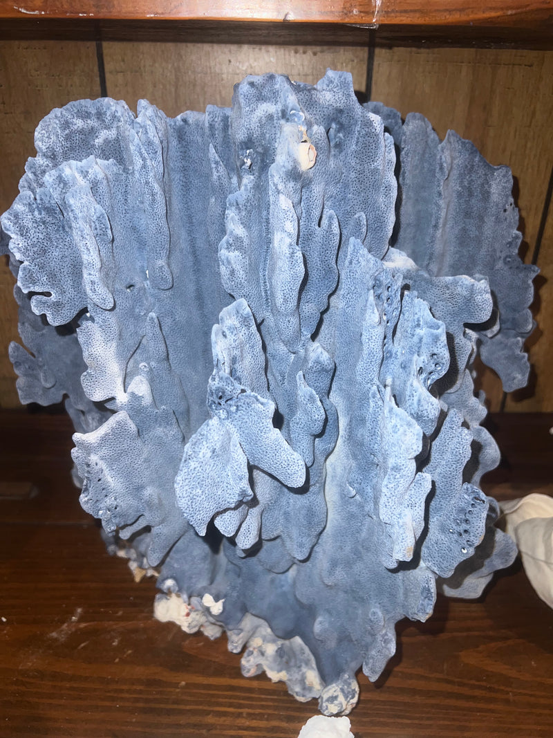 Vintage Blue Ridge Coral- 15"