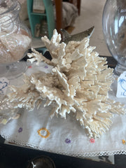 Vintage Mystery White Coral- 9