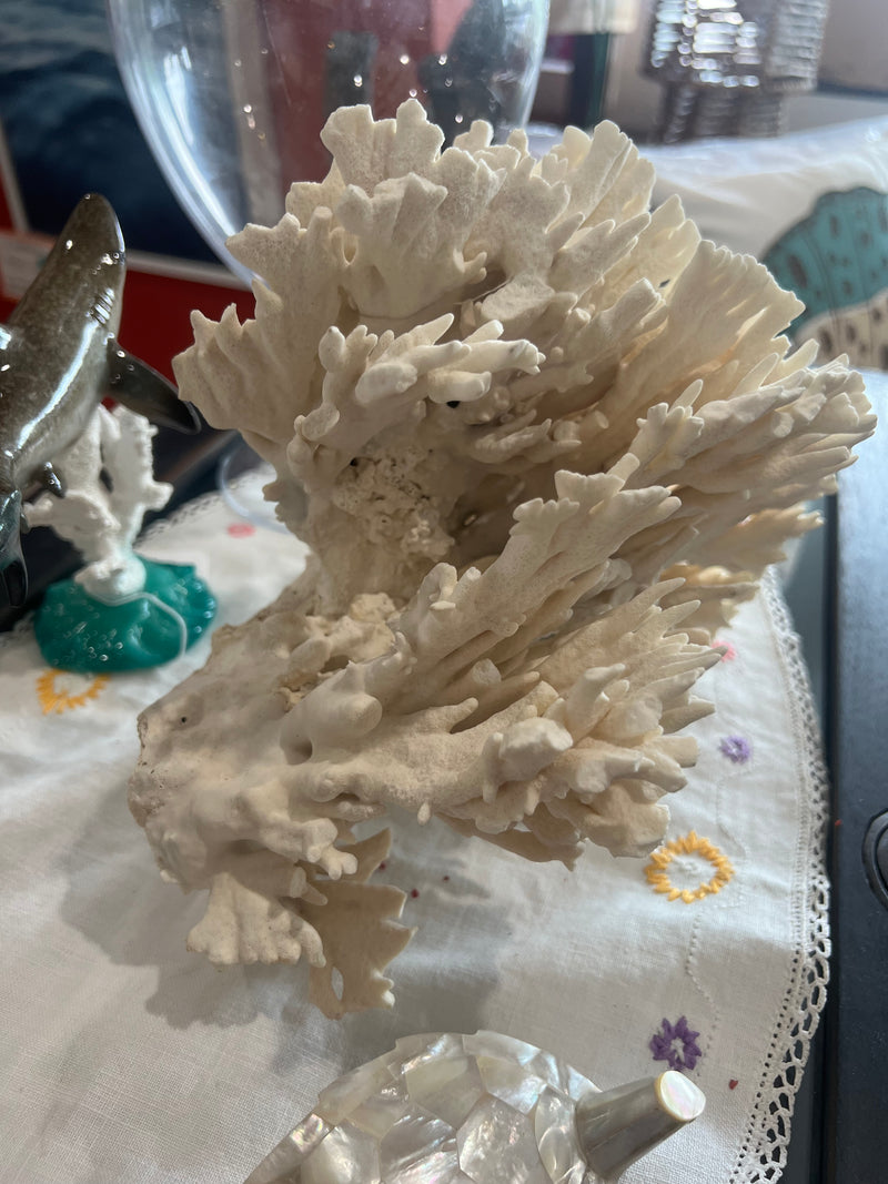Vintage Mystery White Coral- 9"
