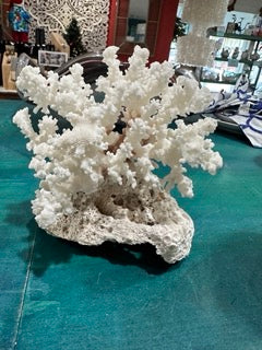 Vintage Brownstem Coral