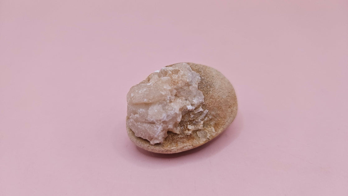 Cretaceous Fossil Clam with Quartz Crystal | Ancient Marine Shell