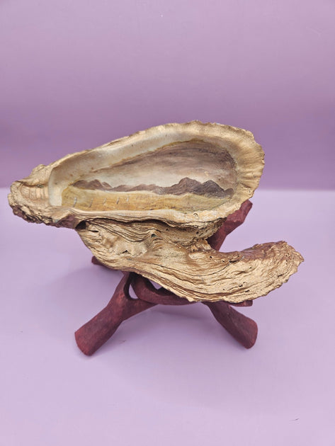 Hand-Painted Oyster Shells with Wooden Stands – Unique Coastal Art