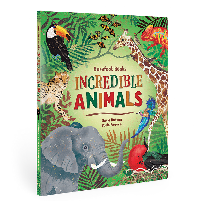 Incredible Animals - Hardcover Children's Book