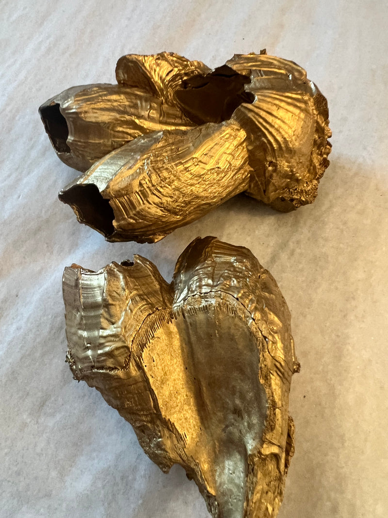 Gold Barnacles