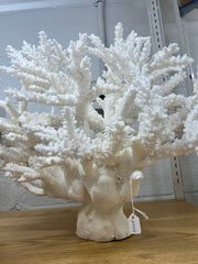 Large Branch Coral Creation- 26