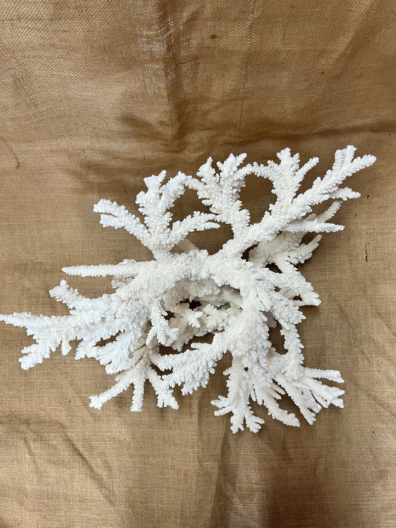 Vintage Branch Coral Creation- 20"
