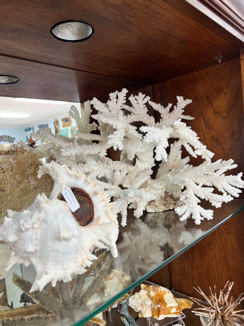 Vintage Branch Coral Creation- 20"
