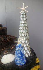 Abalone ( UP ) Seashell Tree with Finger Star Top