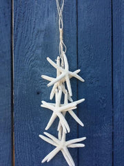Natural White Finger Starfish Hanging Strand for Coastal Christmas Decorating/ Starfish on a String Wall Decor Hanger