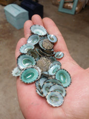 Green Blue Limpet Shells