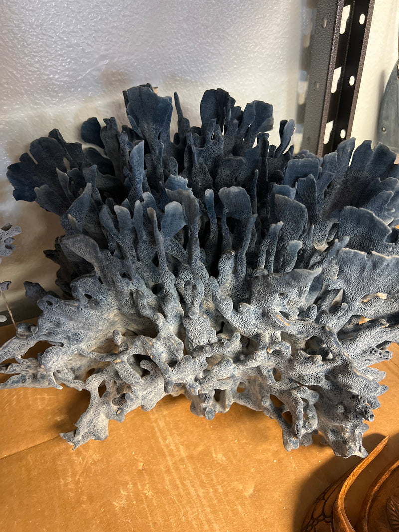 Vintage Blue Ridge Coral- 18"