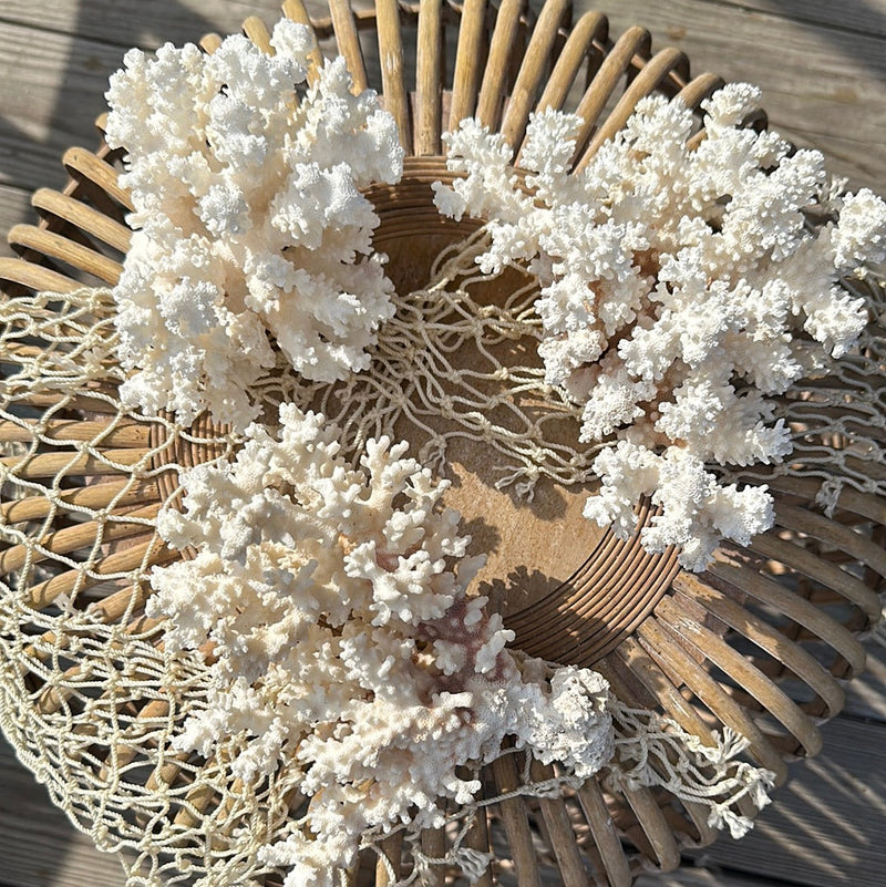 General Coral