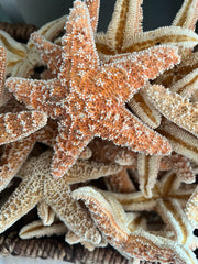 Starfish