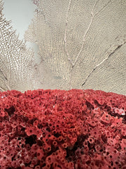 Corals - Loving Coastal Living