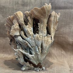 Vintage Natural Poca Coral - 9