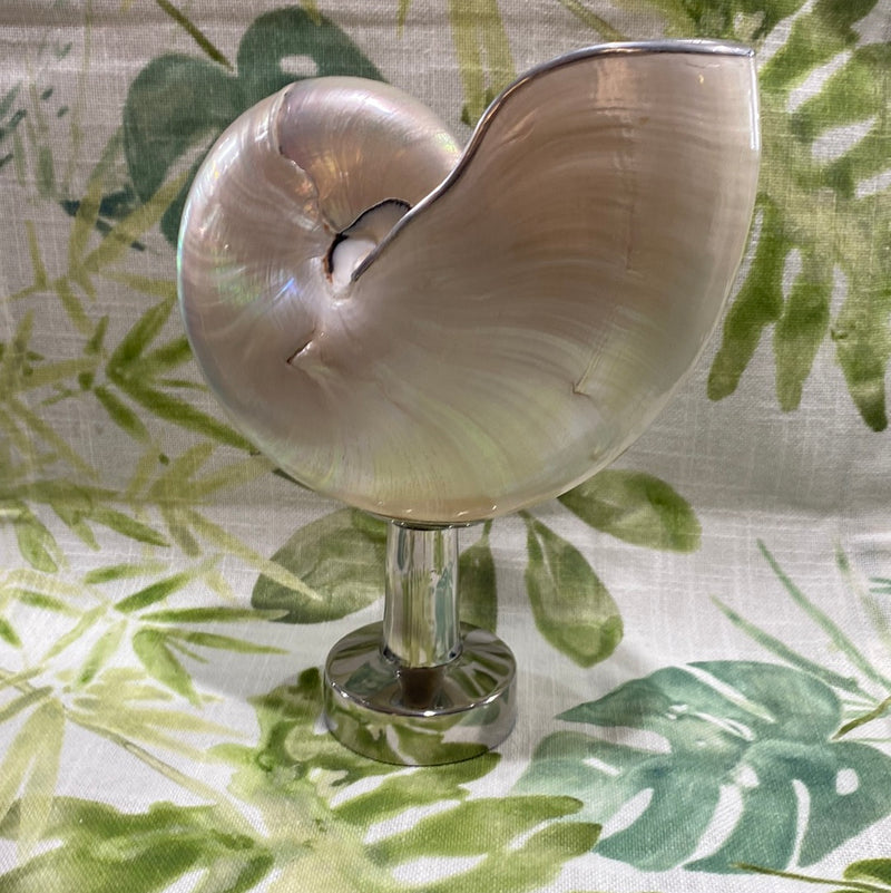 Pearl Nautilus Shell on metal stand