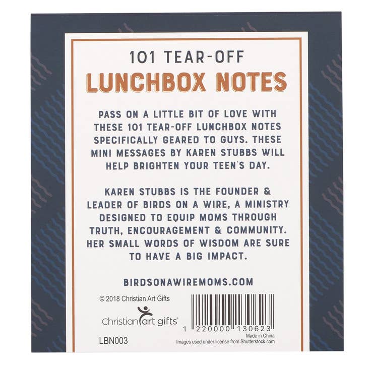 101 Lunchbox Notes For Guys - Small RemindersChristian Art Gifts