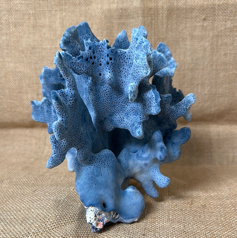 Vintage Blue Ridge Coral - 7"x6.5"x7"