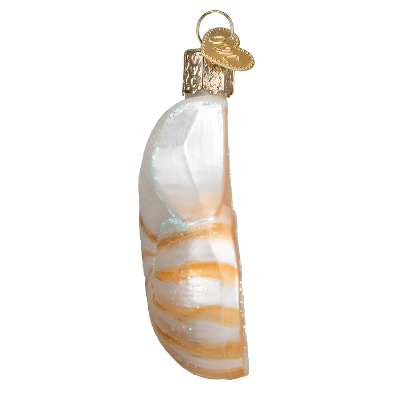 Nautilus Shell Glass Ornament