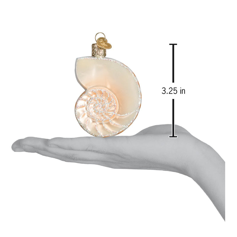 Nautilus Shell Glass Ornament