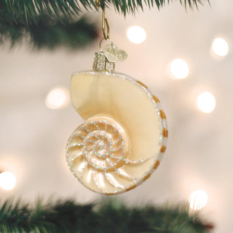 Nautilus Shell Glass Ornament