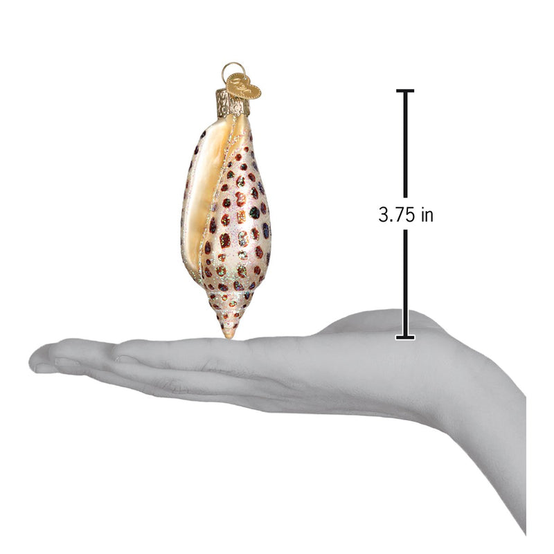 Junonia Shell Glass Ornament