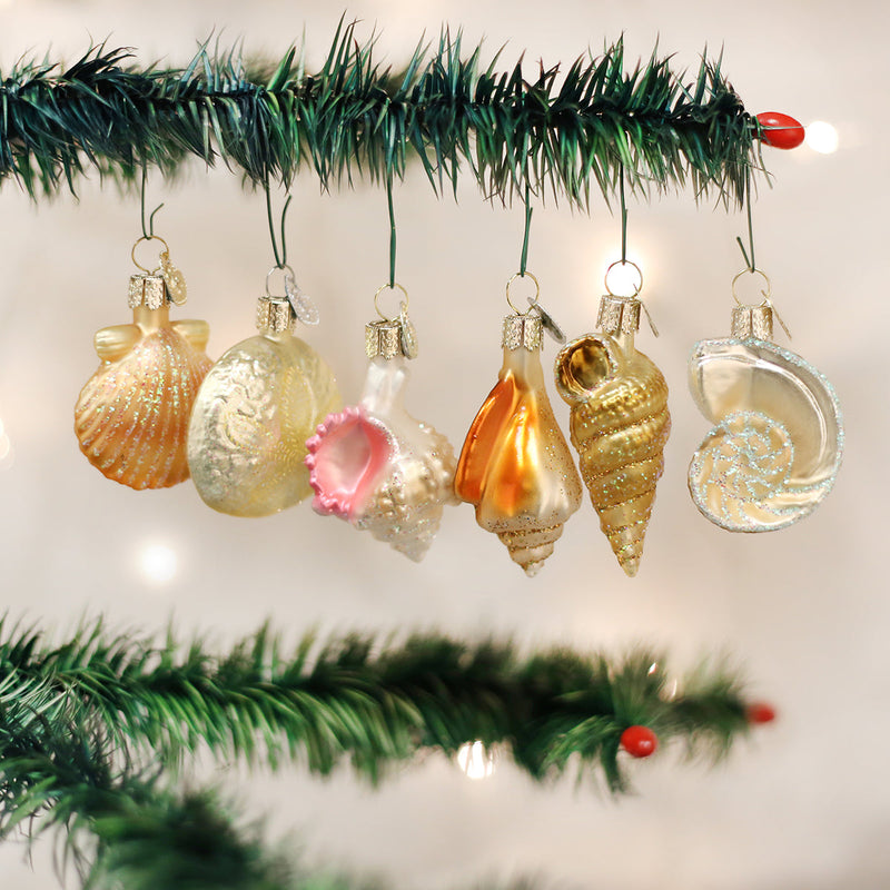Sea Shell Christmas Ornament Set- Nautilus, Sand Dollar,  Murex, Scallop