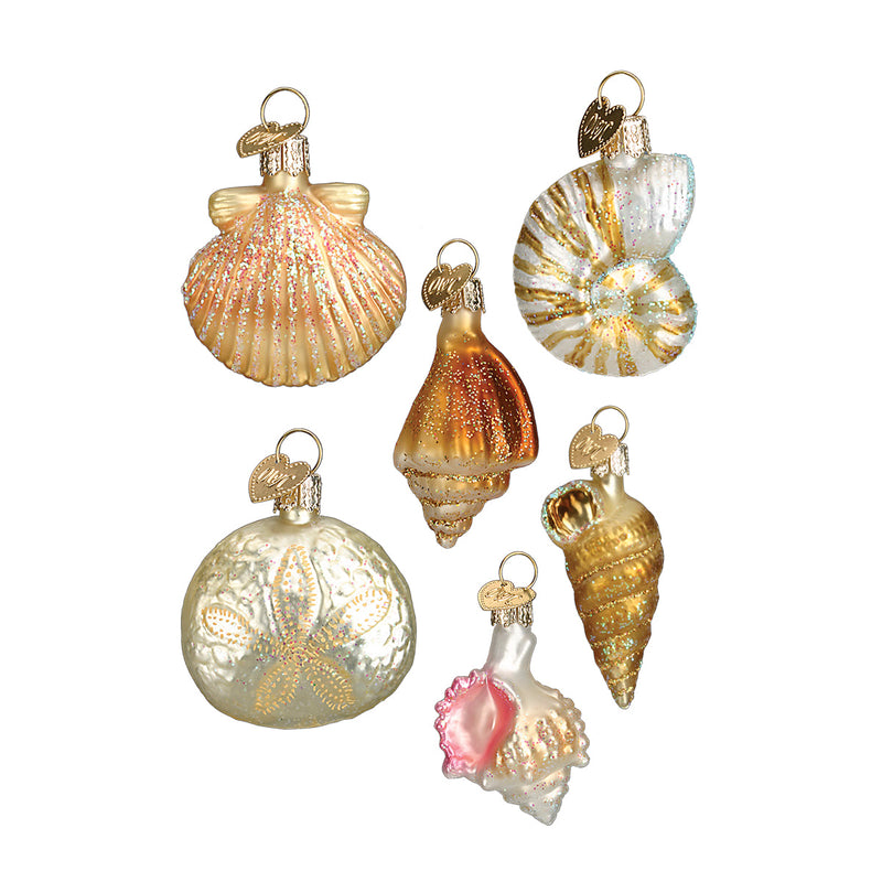 Sea Shell Christmas Ornament Set- Nautilus, Sand Dollar,  Murex, Scallop