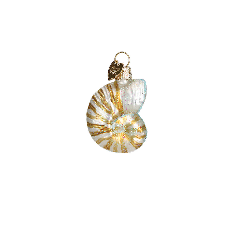 Sea Shell Christmas Ornament Set- Nautilus, Sand Dollar,  Murex, Scallop