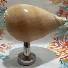 Melon Shell on Metal Stand