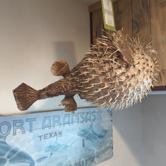 Bloat the Giant Porcupine Fish - 25