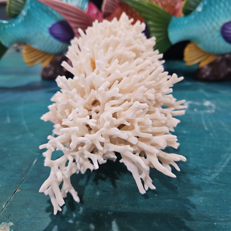 Vintage Birdsnest Coral - 6.5"
