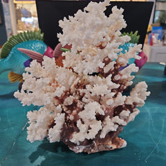 Vintage Brown Stem Coral - 7.5