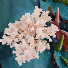 Vintage Brown Stem Coral - 7.5